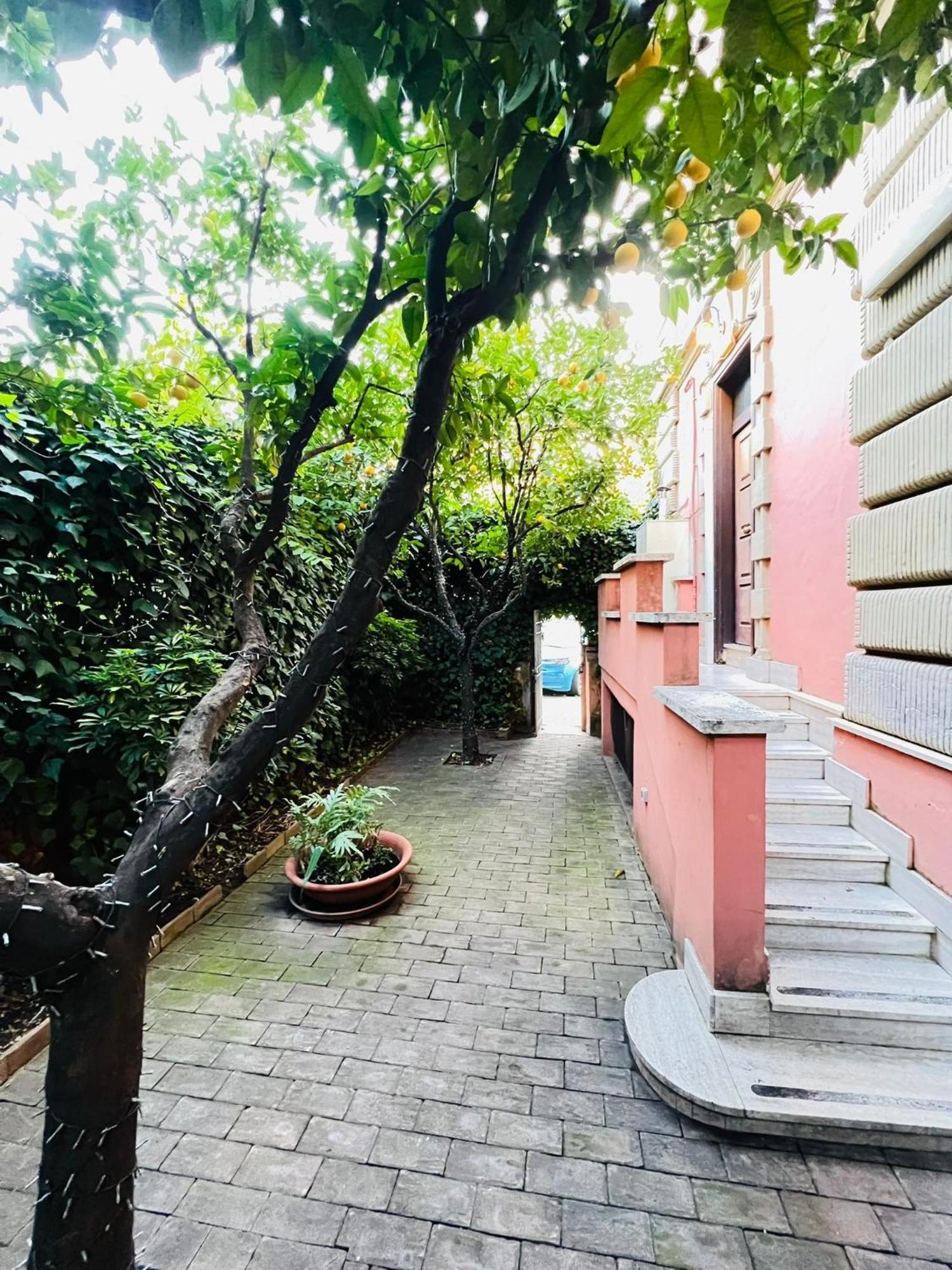 Orange Garden Guest House — Foto 3